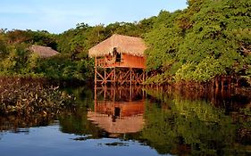 Juma Amazon 4*